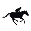 Horse rider silhouette