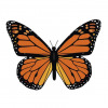 Monarch butterfly vector