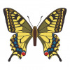 Papilio Machaon butterfly vector