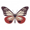 Parantica sita butterfly vector