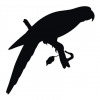 Parrot silhouette vector pattern 