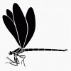 Damselfly stencil pattern