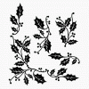 Holly border