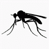 Mosquito silhouette 