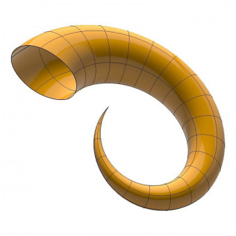 Horn 3D surface