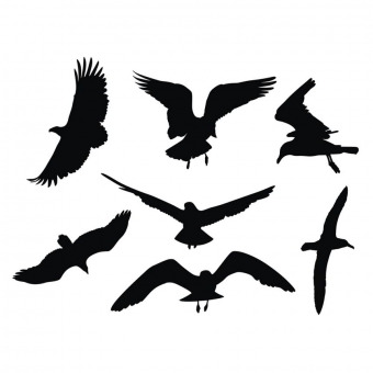 Bird vector silhouettes