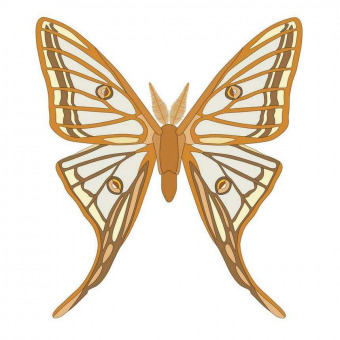 Graellsia Isabellae moth vector