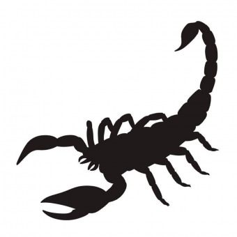 Scorpion vector silhouette