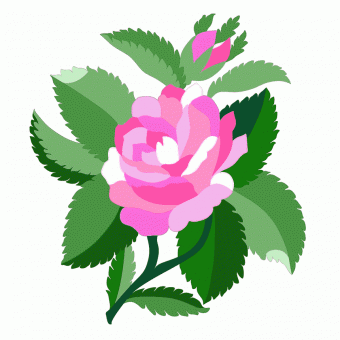 Design for Damask rose