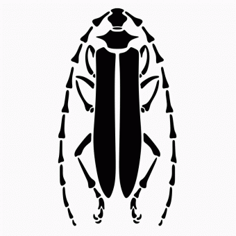 Longhorn beetle stencil pattern