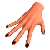 Female hand 3D model