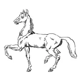 Horse stencil