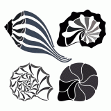 Sea shell design elements