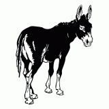 Vectorized donkey illustration