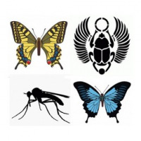 Insects vectors